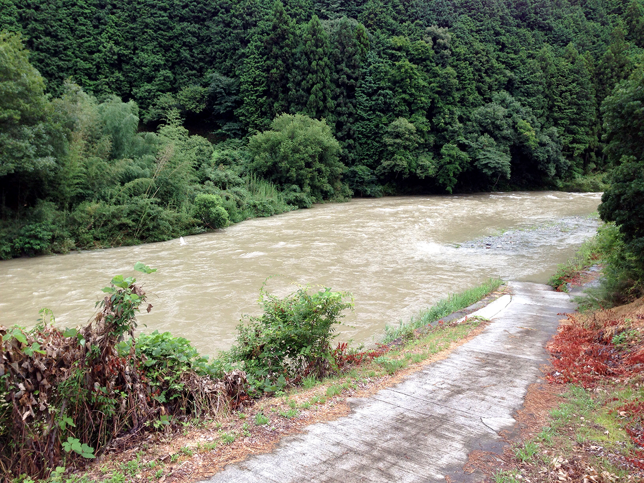 台風で増水した内子の小田川